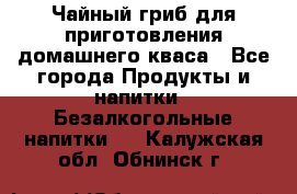 Чайный гриб для приготовления домашнего кваса - Все города Продукты и напитки » Безалкогольные напитки   . Калужская обл.,Обнинск г.